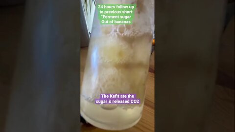 Amazing SugarFree Bananas Keto 1 day later part2 #sugarfree #banana #keto