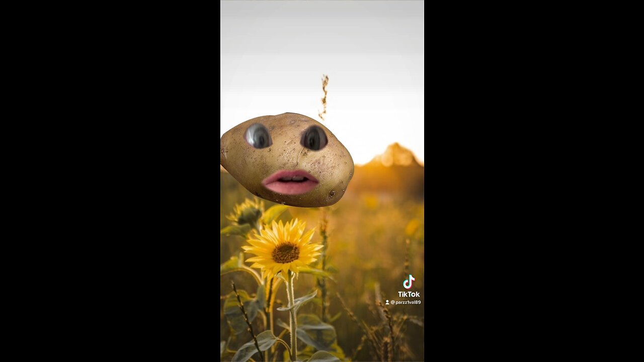 I am a potato #trolling #potato #trending