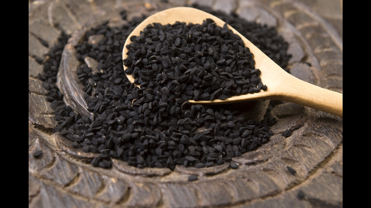 Black Seed (Nigella Sativa)