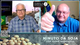 Feriadão e plantio da Soja a todo vapor nos EUA