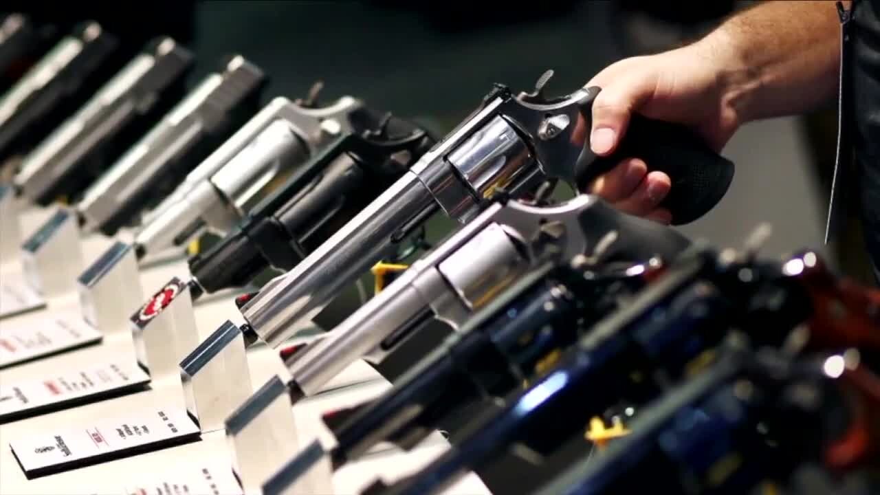 In depth: protest over Florida gun safety laws