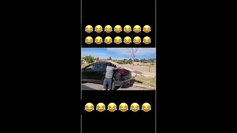 Funny videos