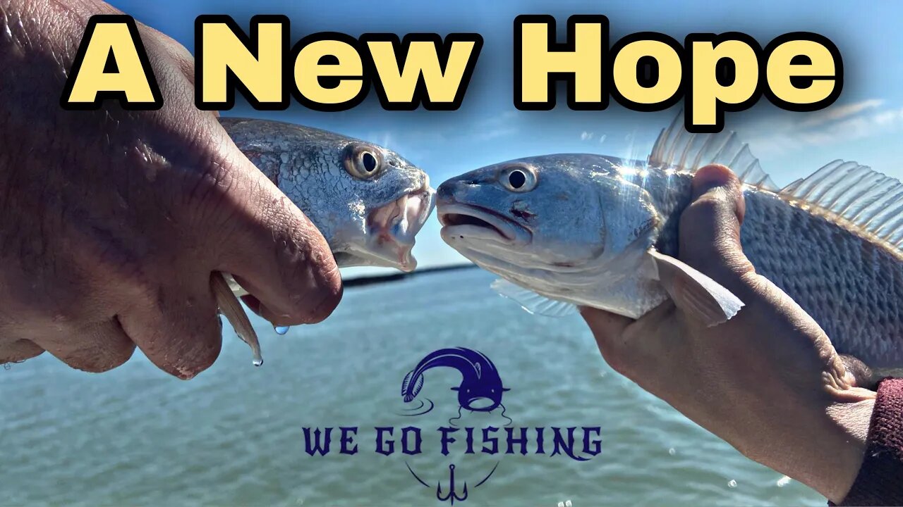 Fishing: A New Hope