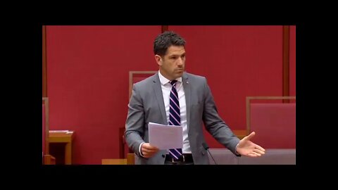 Adjournment Speech 23 February 2021 - The Political Class