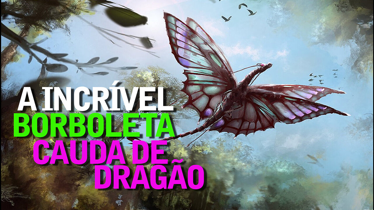 A Incrível Borboleta Calda de Dragão | Dragon Tail | Jornalismo Verdade