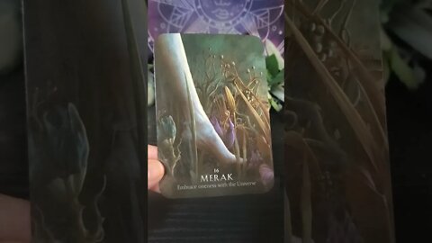 Timeless Oracle Card Reading #shorts