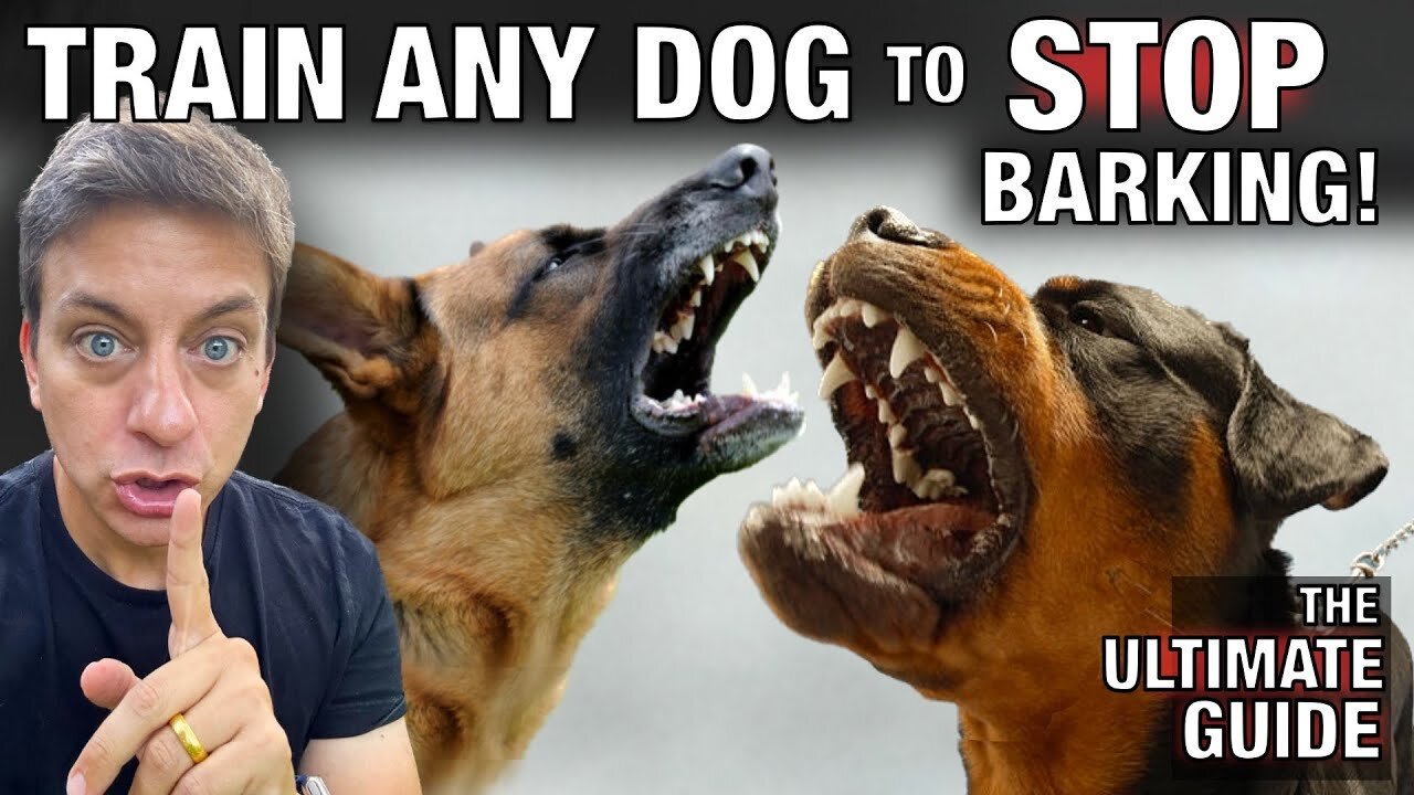 How To STOP Any Dog From Excessive Barking: The Ultimate Guide.