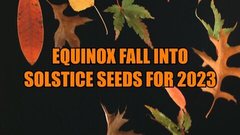 Equinox Fall into Solstice Seeds for 2023