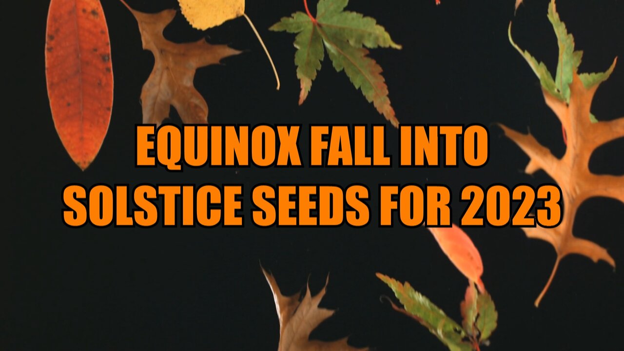 Equinox Fall into Solstice Seeds for 2023