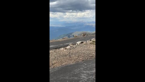 Top of Mt Evans