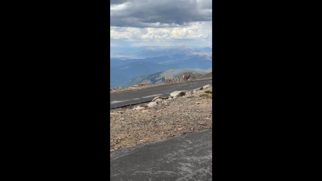 Top of Mt Evans