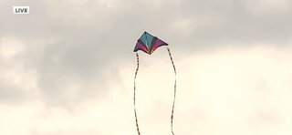 This weekend: Record attempt for most kites flown