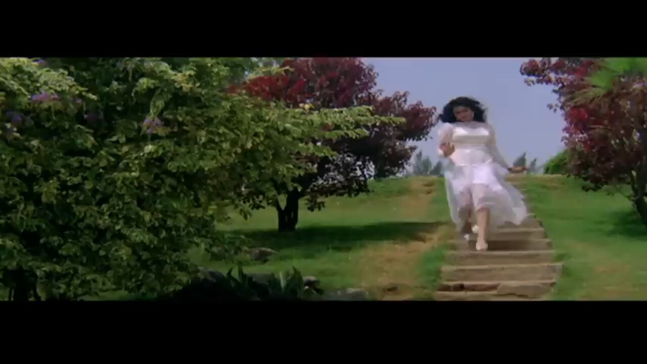 Tumse Milne Ko Dil Karta Hai _phool Aur Kaata / Ajay Devgan & Madhoo