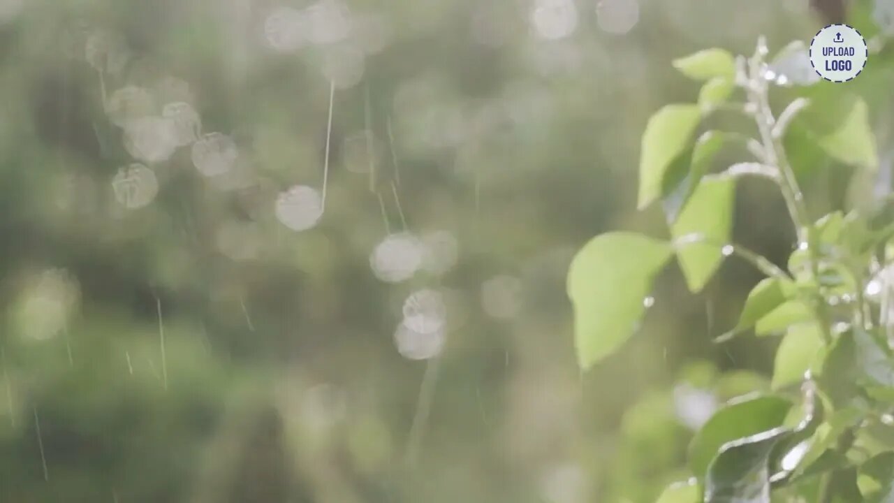 Moment of Relaxation