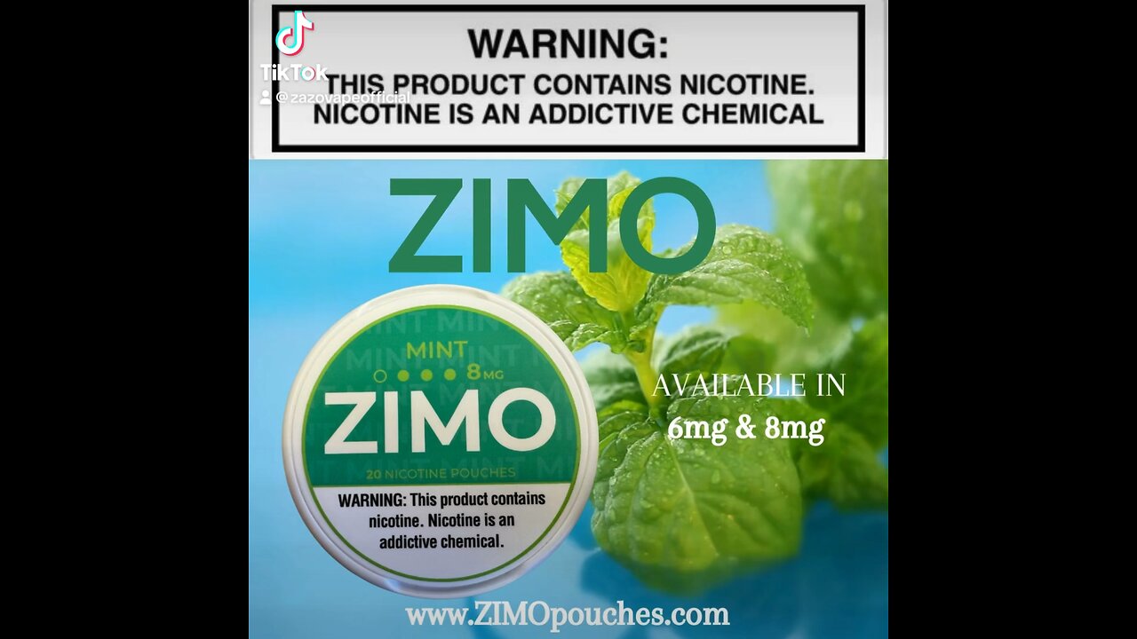 ZIMO Mint Flavored Pouch