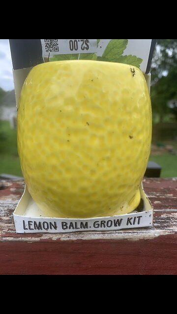 Lemon Balm growing is made easy with TOTAL GREEN -EDEN’s LIVING TV