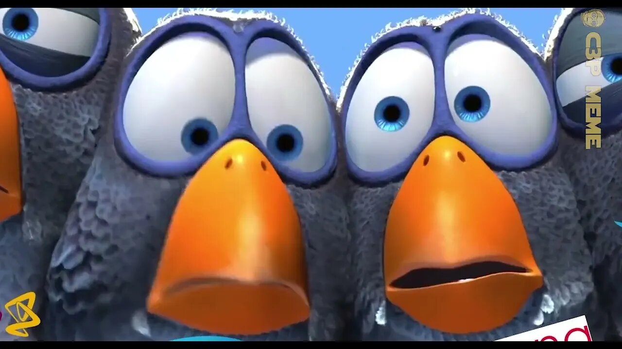Vax Birds