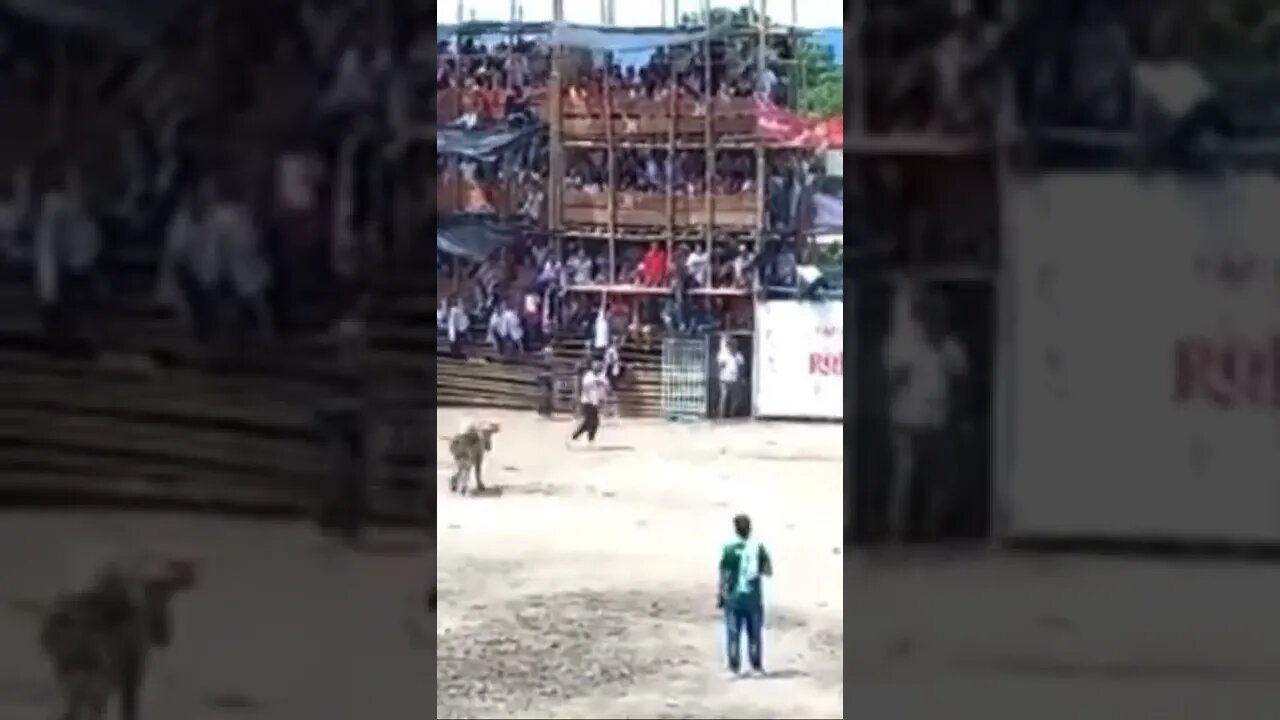 Hundreds Hurt When Wooden Stands Collapse During Colombian Bullfight