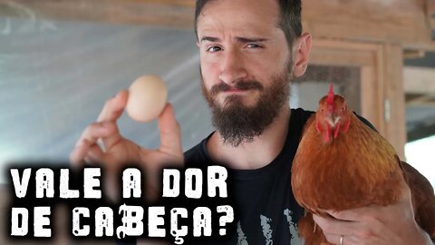Quer ter animais no sítio? VEJA ESSE VÍDEO! - Chácara SV