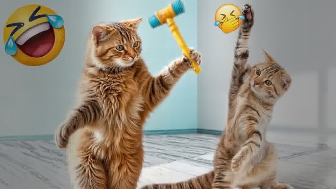 Try Not To Laugh Challenge😁Funny and Cute CAT Videos Compilation 2024😪🐶