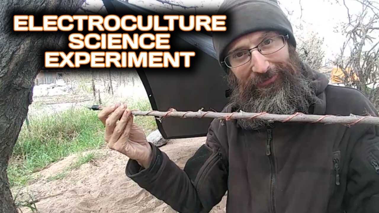 Electroculture Science Experiment