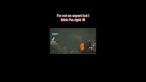 I’m not an expert but I think I’m right 😮‍💨