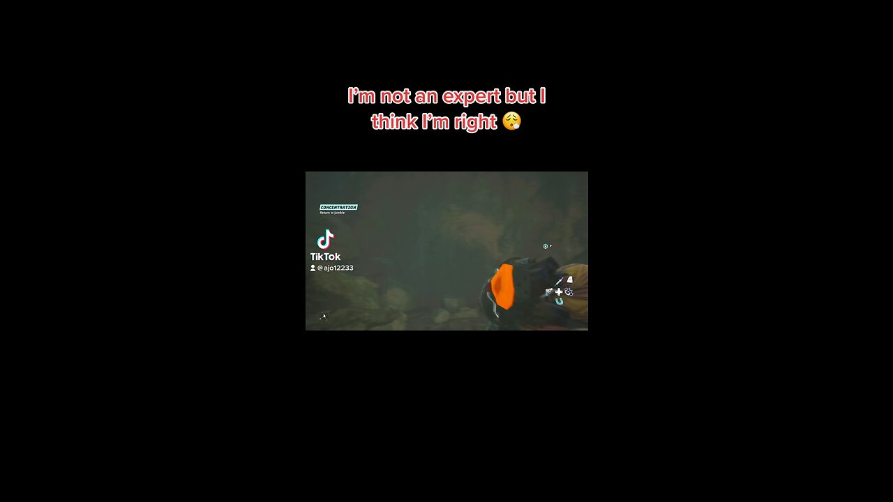 I’m not an expert but I think I’m right 😮‍💨