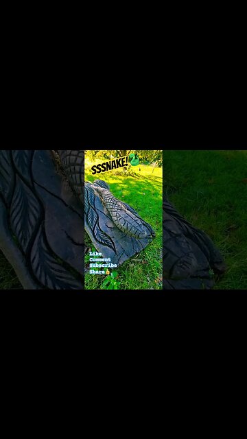 Sssnake!🐍 #nature #naturelovers #woodcarving #woodsculpture #snake #snakevideo #outdoors #gloucester