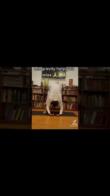 Let Gravity Help You Relax 🙏🙏🙏