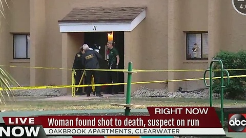 Woman found dead inside Clearwater apartment after reports of gunshots