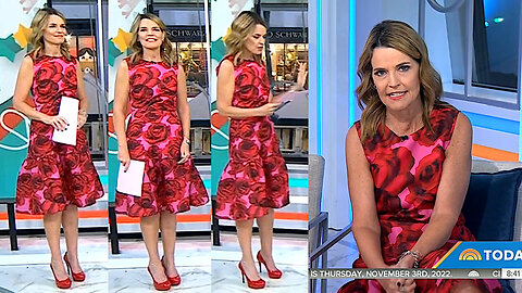 Savannah Guthrie Nov 3 2022