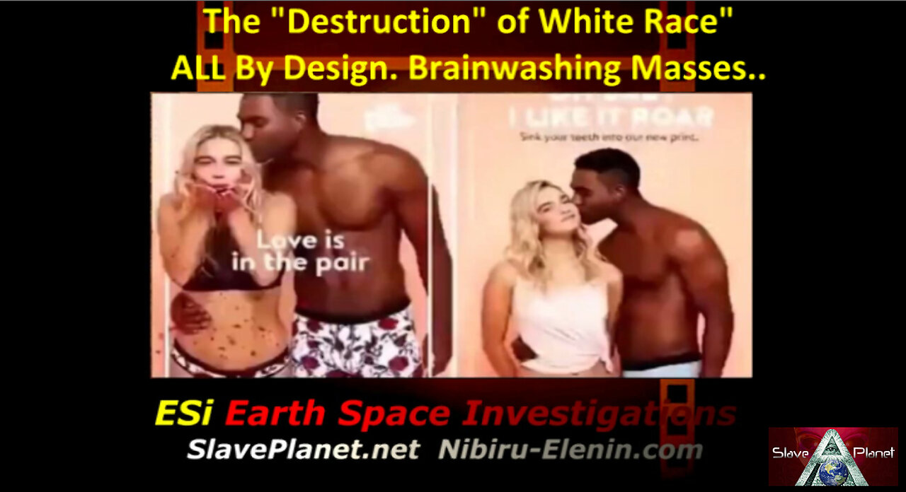 Destruction of the WHITE Race in Plain View to even a dimbo