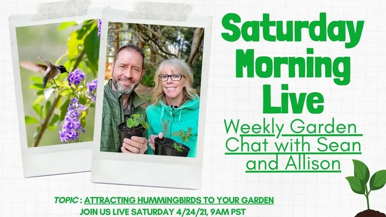 ☕ Saturday Morning LIVE Garden Chat - Attracting Hummingbirds☕