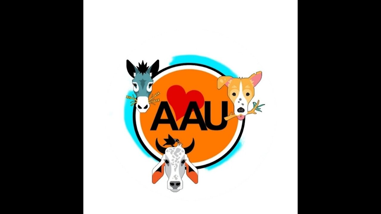 Please donet - animalaidunlimited29@gmail.com