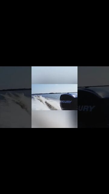 Getcha a mercury outboard. #mercury #outboards #river #boat