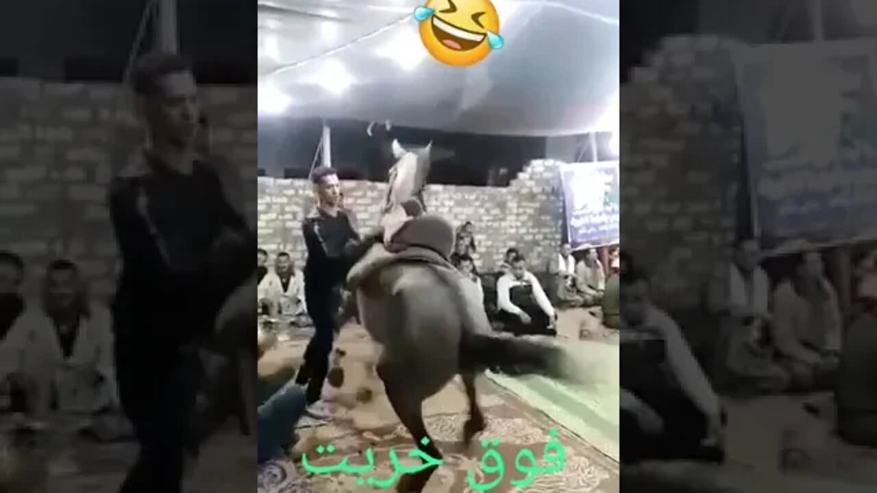۱۲ اوت ۲۰۲۲