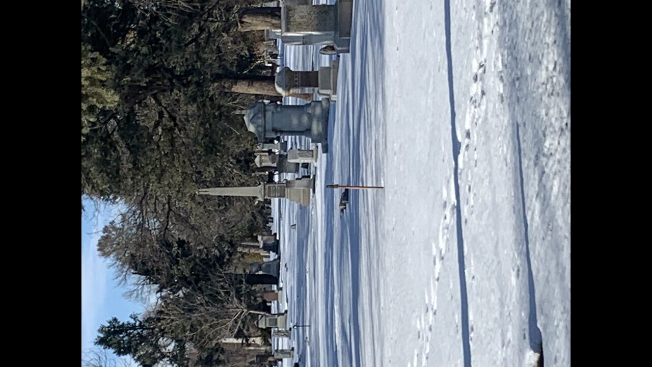 Deer in the middle of a cemetery…