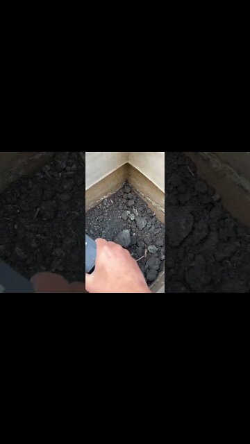 #shorts #2022 funny,prank,funjokes,dad jokes,funny memes,funny video,fun,laughing,funny animal,knock