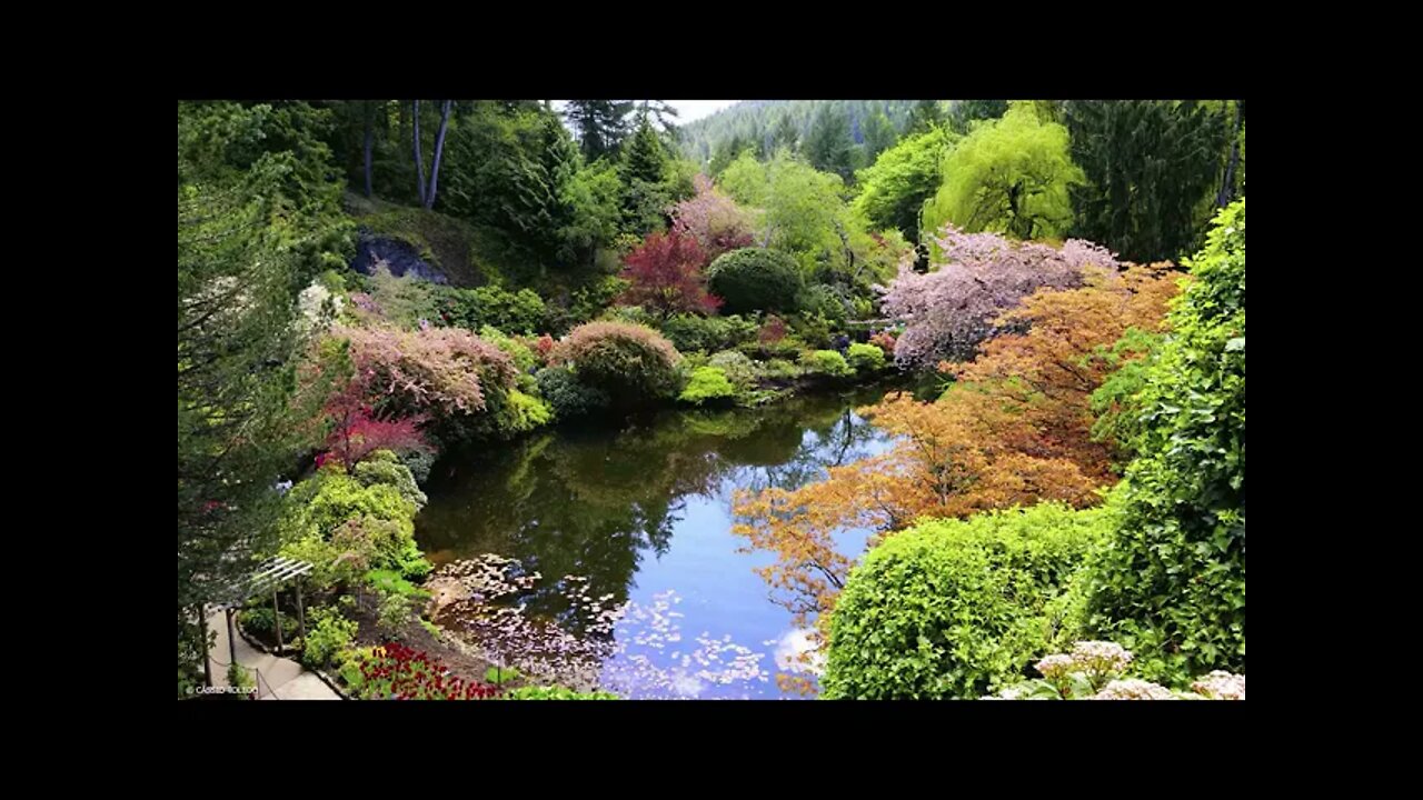 Música para Estudar, Ler e Meditar | Aumente sua concentração rapidamente | MÚSICA RELAXANTE