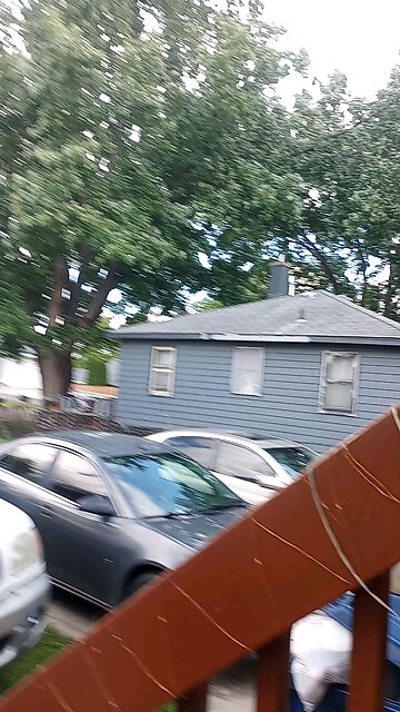 the trees are breaking wind