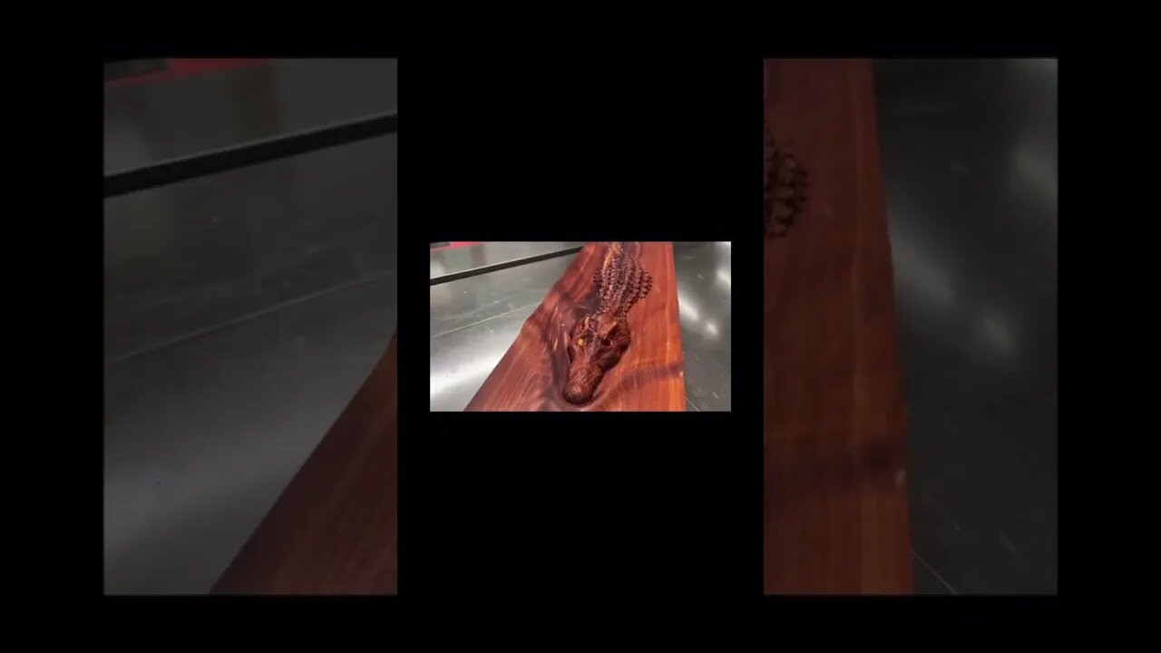 Watch out for the Gator Baby! #shortsfeed #shortsvideo #shortvideo