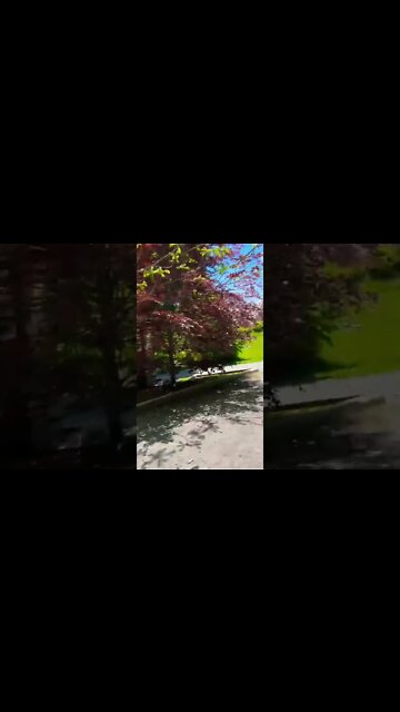 Hiking through a Canadian park