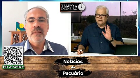 Boi gordo ainda vai ficar de molho durante feriado chinês( 1°ao 7 de outubro) Piso da @ em SP recua.