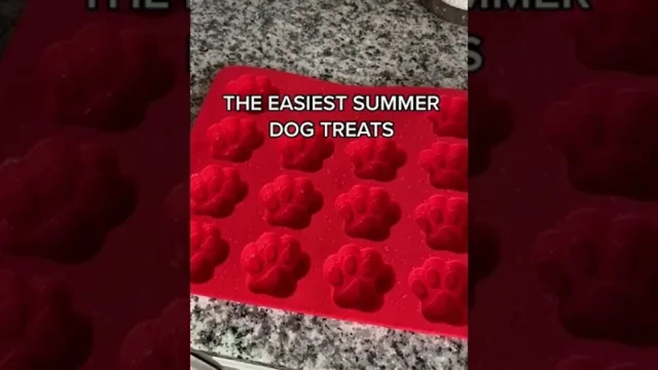 HOW TO PREPARE SO EASY SUMMER DOG TREATS...#shorts