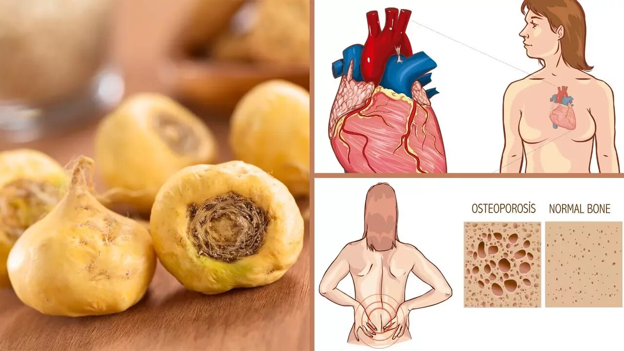 10 Amazing Maca Root Benefits for Men and Women