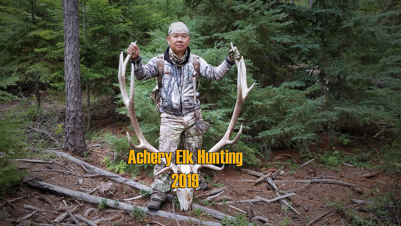 2019 Archery Elk Hunting | Mus Tua Elk