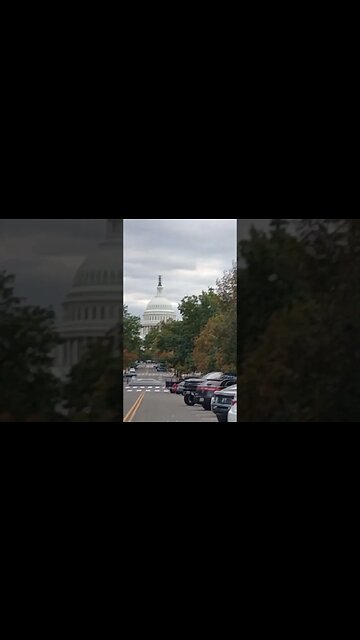 Washington DC with Bill Staxx