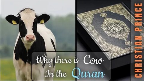Abdool - Why there is cow chapter in quran ? Christian prince explain