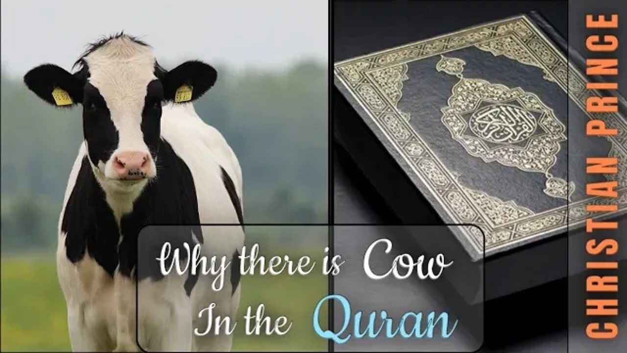 Abdool - Why there is cow chapter in quran ? Christian prince explain