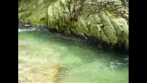 Carlos Henrique Quando Deus Fala play back